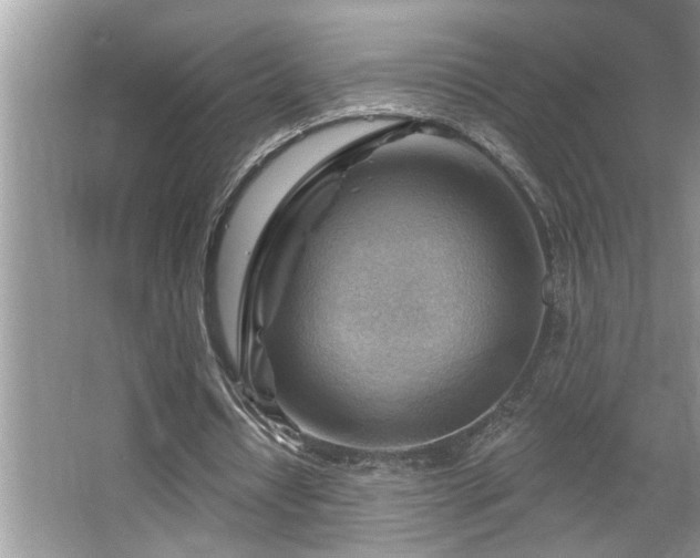 X0000067510434200604071256