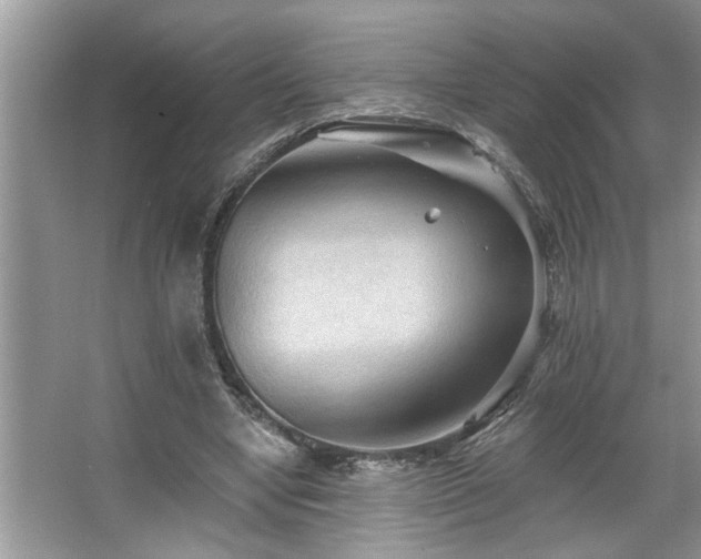 X0000067510442200604071256