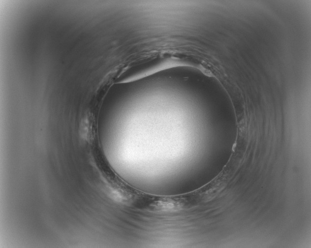 X0000067510464200604071256