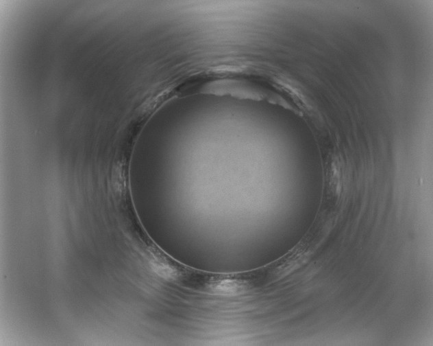 X0000067510467200604071257