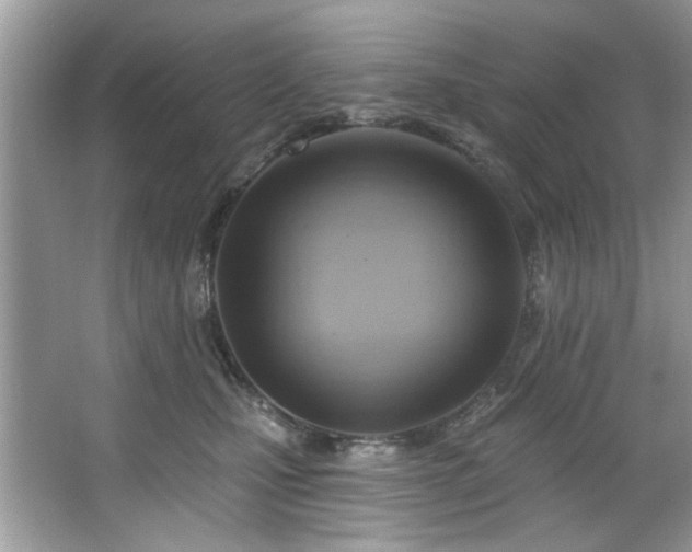 X0000067510471200604071257