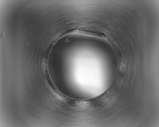 X0000067510476200604071257