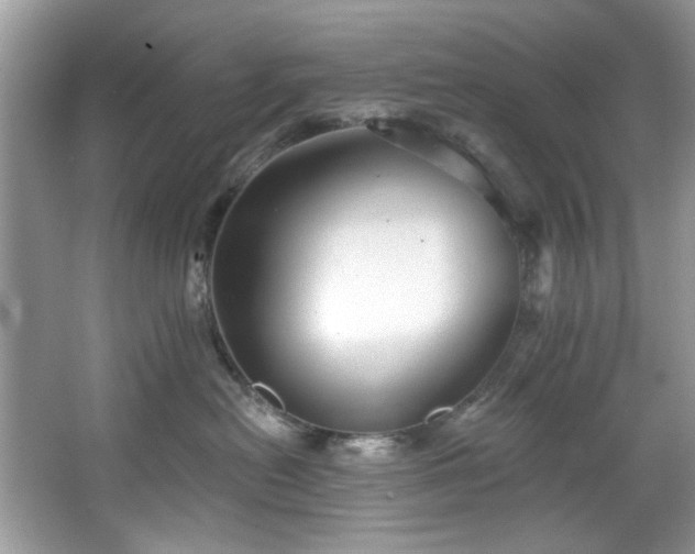 X0000067510478200604071257
