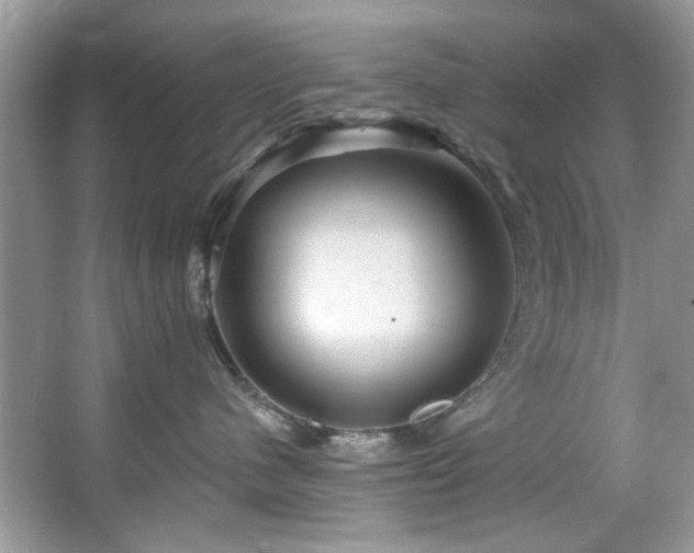 X0000067510480200604071257