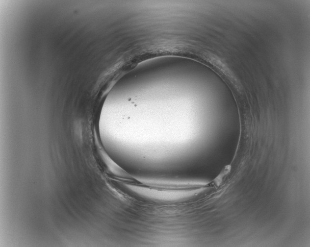 X0000067510489200604071256