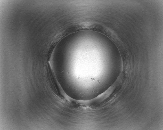X0000067510509200604071255