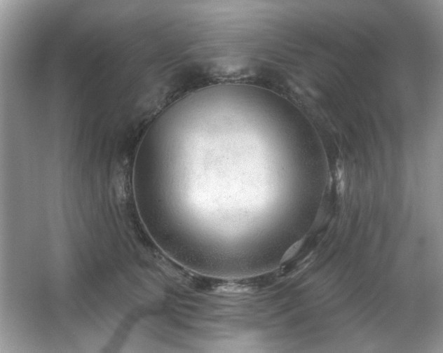 X0000067510515200604071255