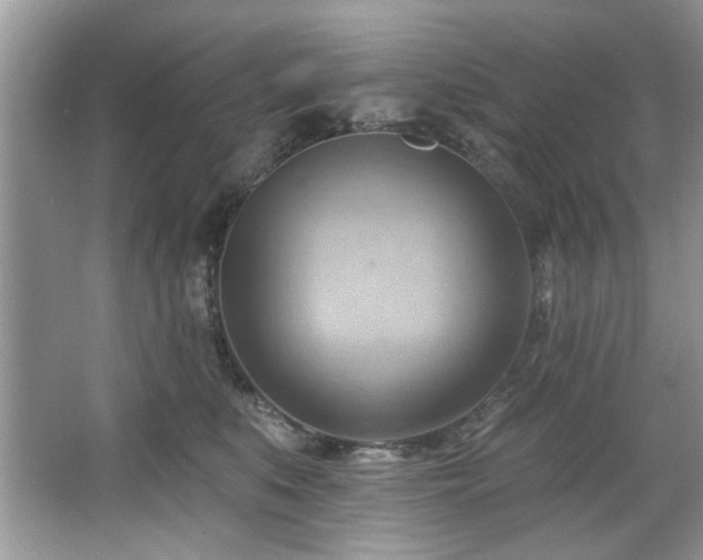 X0000067510519200604071255