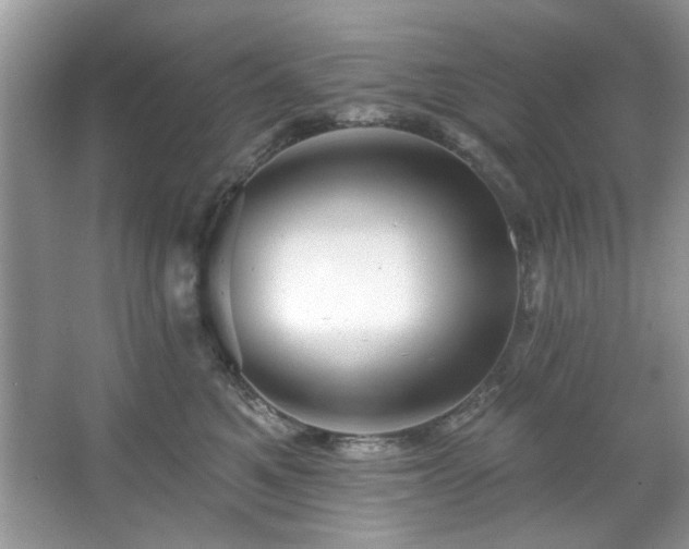 X0000067510521200604071255