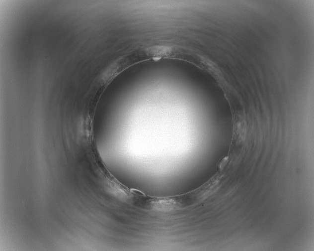 X0000067510525200604071255