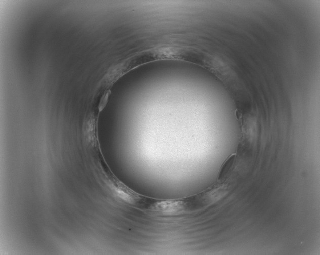 X0000067510526200604071255