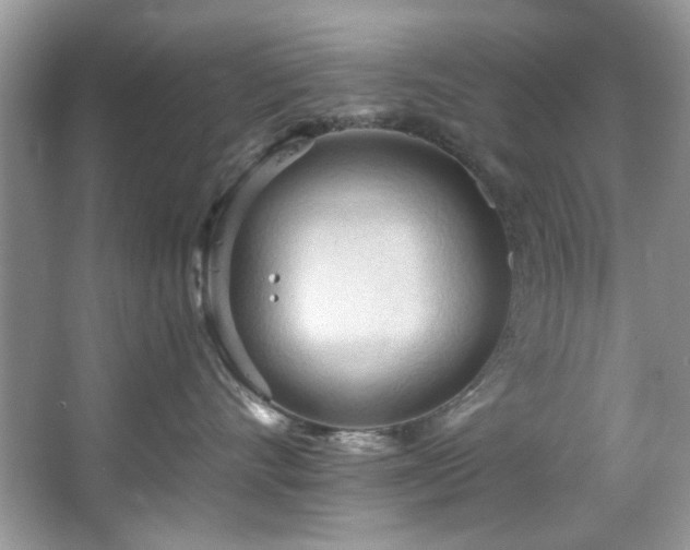 X0000067510528200604071255