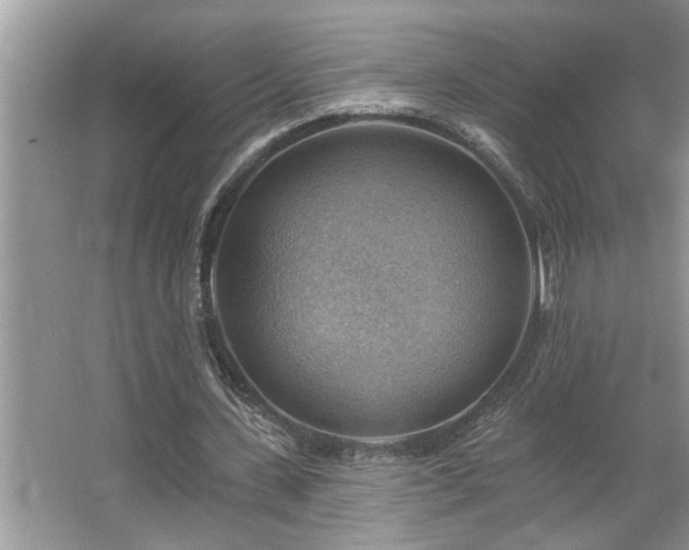 X0000067510531200604071254
