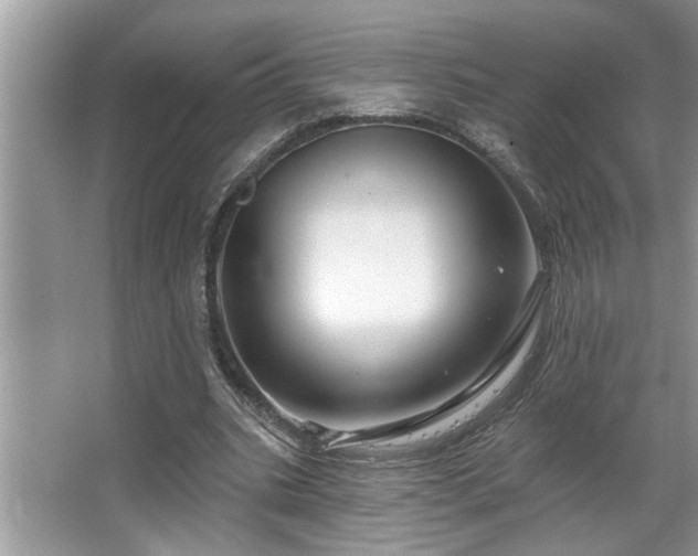X0000067510535200604071254