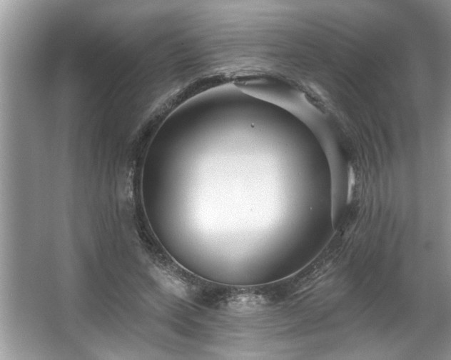 X0000067510543200604071255