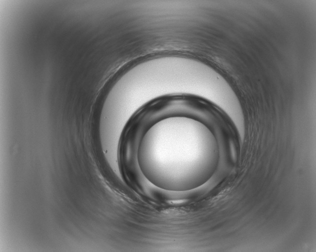 X0000067510544200604071255