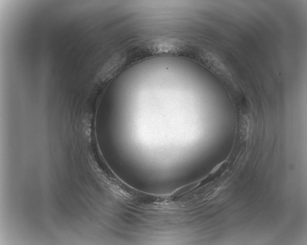 X0000067510545200604071255