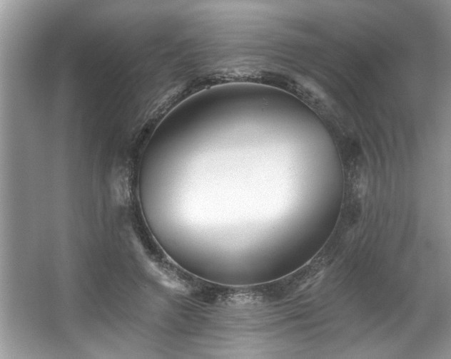 X0000067510546200604071255