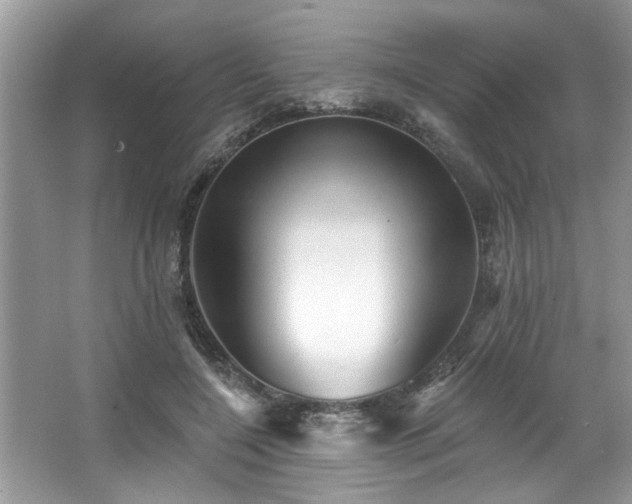 X0000067510548200604071255