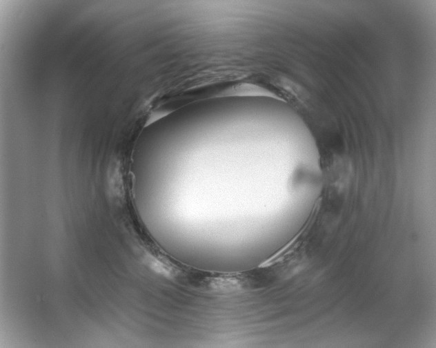 X0000067510572200604071255