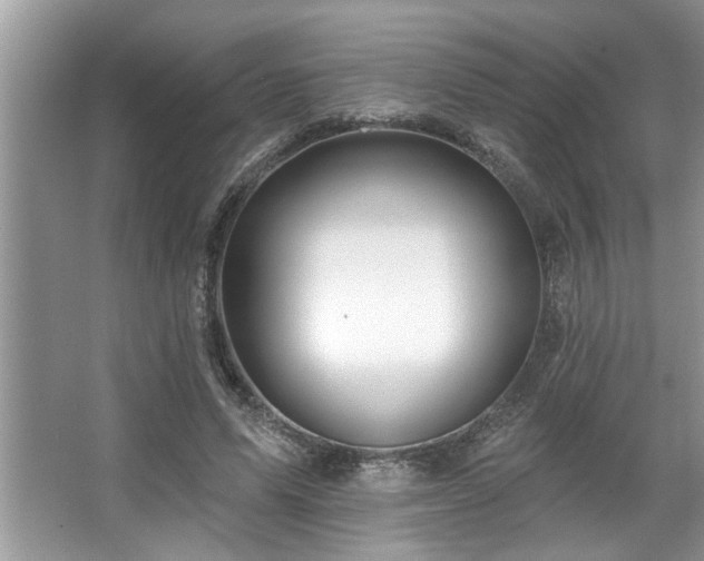 X0000067510591200604071254