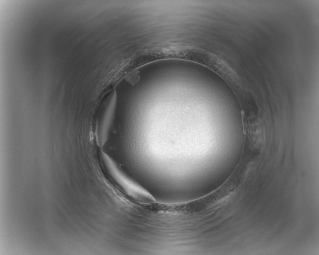 X0000067510593200604071254