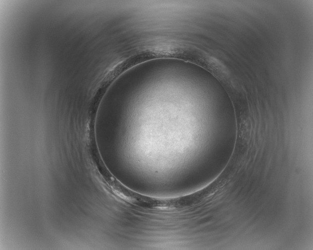 X0000067510596200604071254