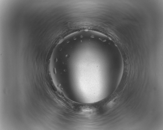 X0000067510597200604071254