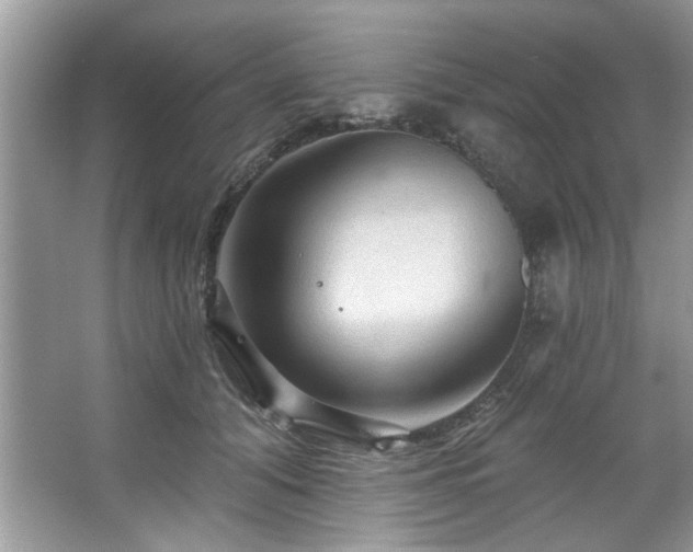 X0000067510608200604071254