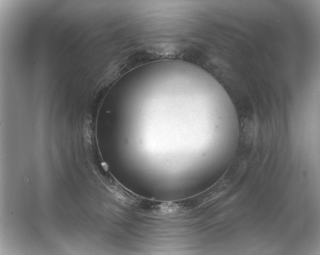 X0000067510612200604071254