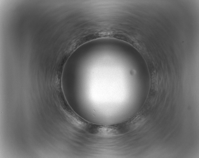 X0000067510614200604071254