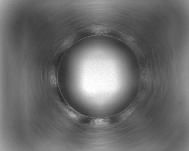 X0000067510622200604071254