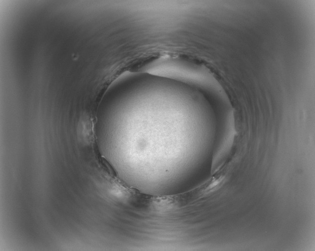 X0000067510624200604071254