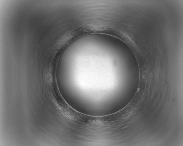 X0000067510635200604071253