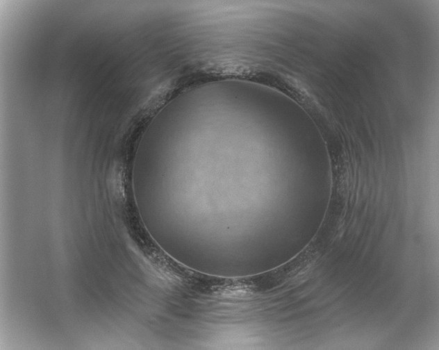 X0000067510643200604071253
