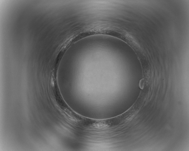 X0000067510644200604071253