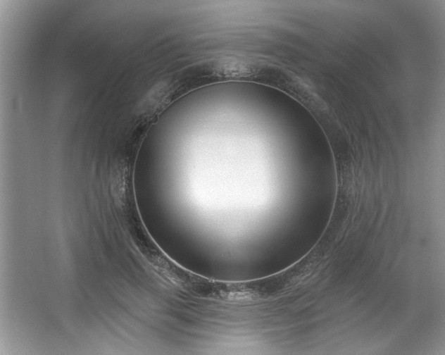 X0000067510645200604071253