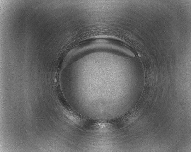 X0000067510654200604071253