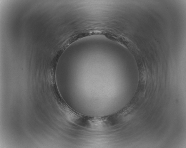 X0000067510661200604071253