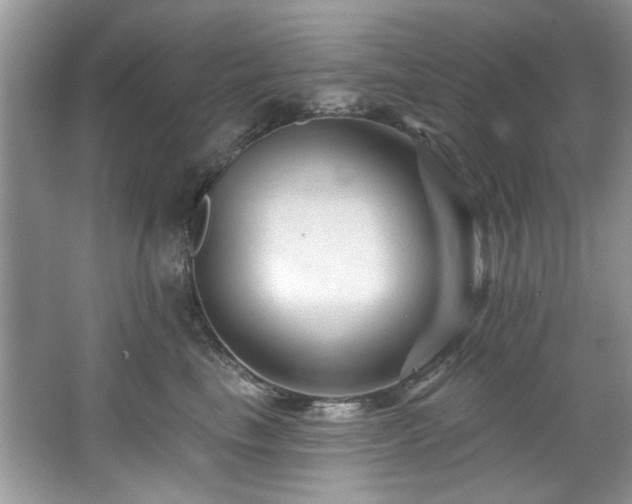 X0000067510665200604071253