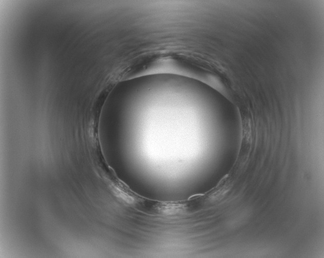 X0000067510670200604071253