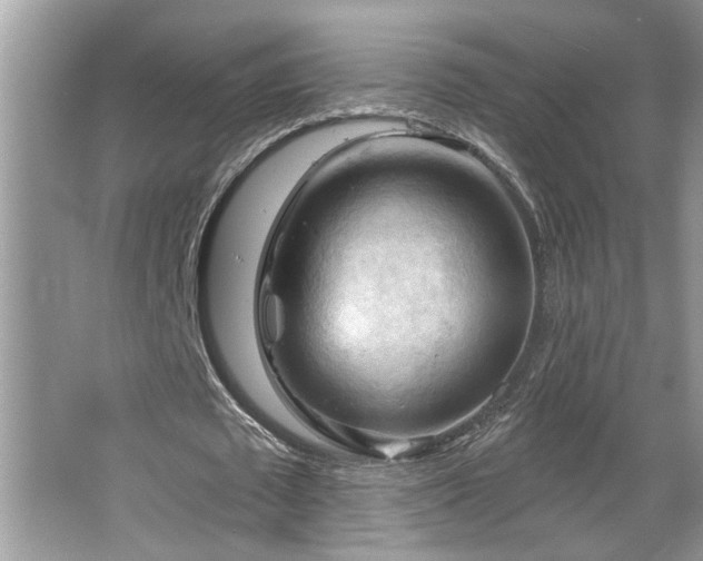 X0000067510673200604071253