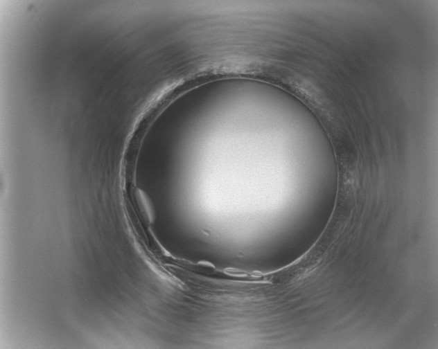 X0000067510678200604071253