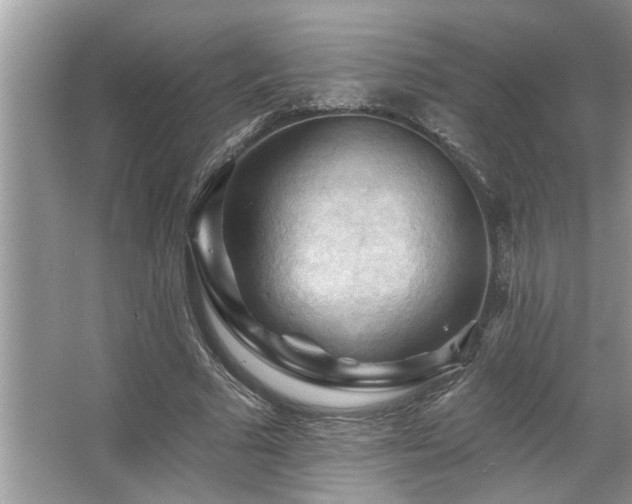 X0000067510681200604071253