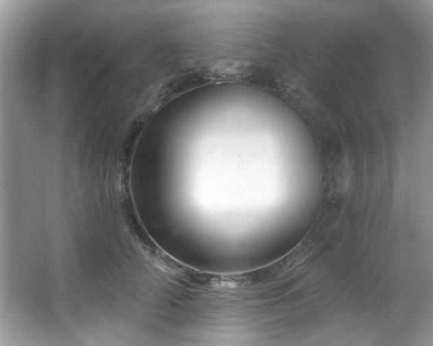 X0000067510706200604071252
