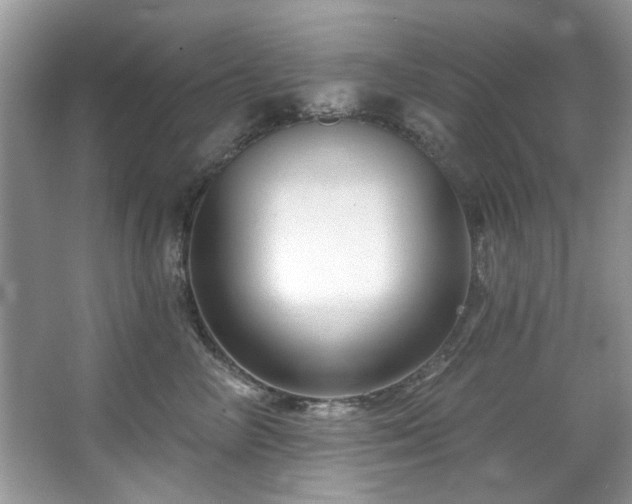 X0000067510714200604071252