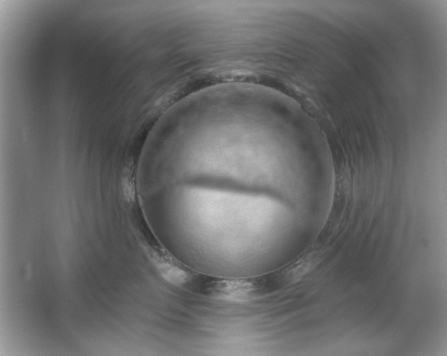X0000067510719200604071252