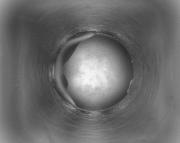X0000067510720200604071252