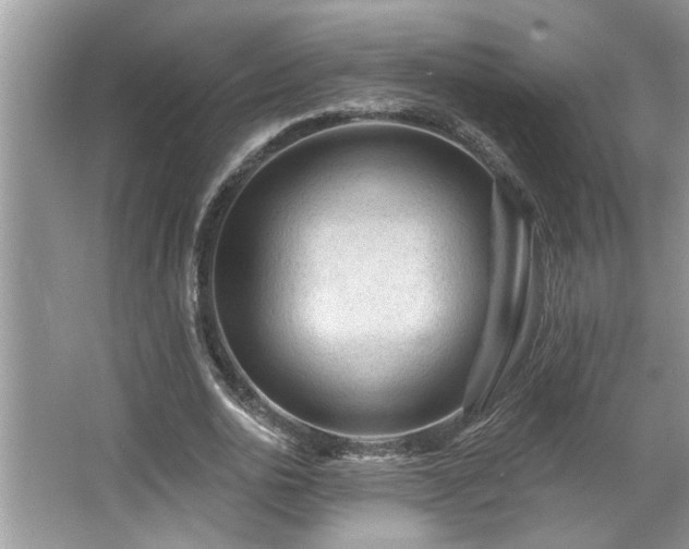 X0000067510726200604071251