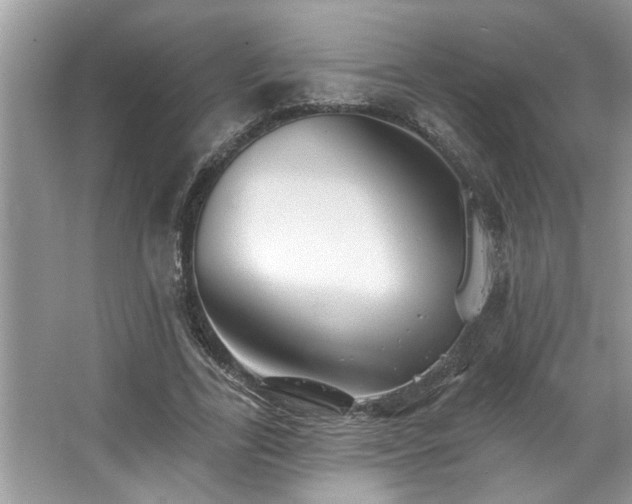 X0000067510731200604071251